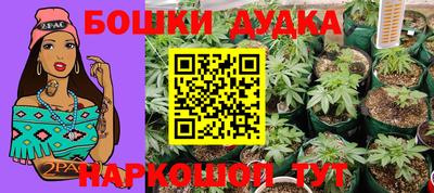 PSILOCYBIN Будённовск