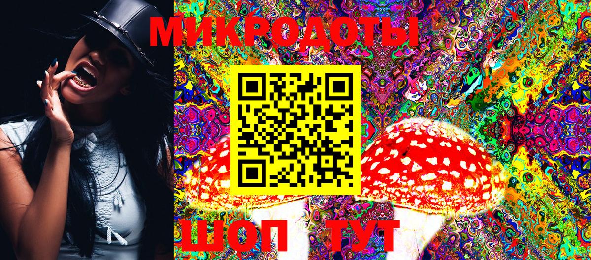 Псилоцибиновые грибы Psilocybe Салехард